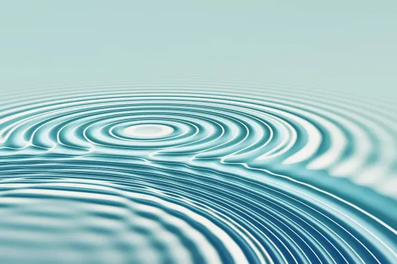 카지노 보난자 게임 지원